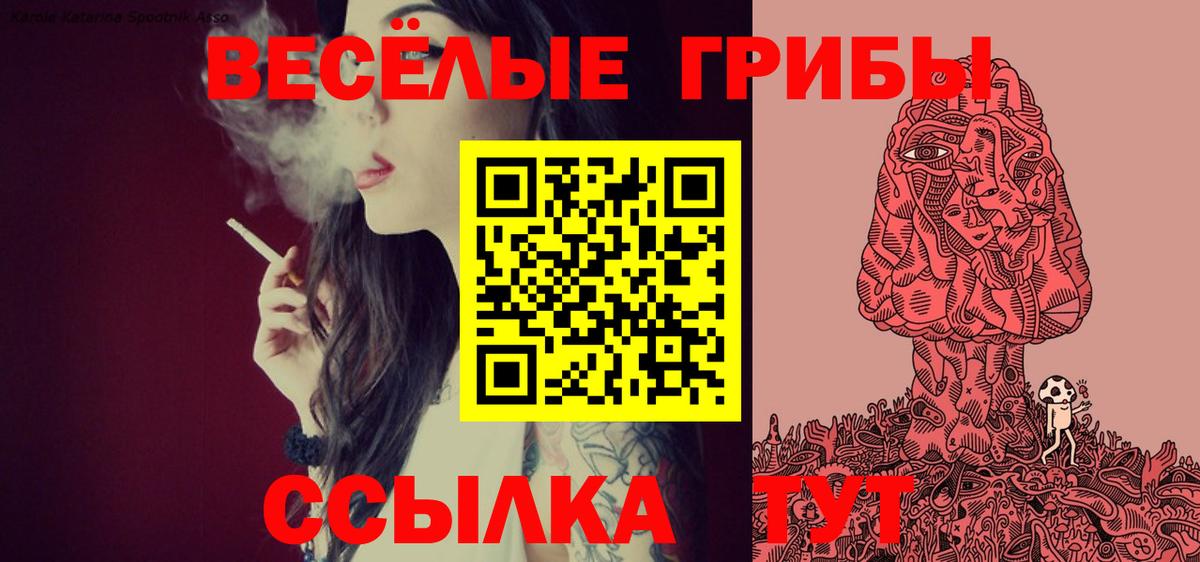 Галлюциногенные грибы GOLDEN TEACHER Великий Устюг