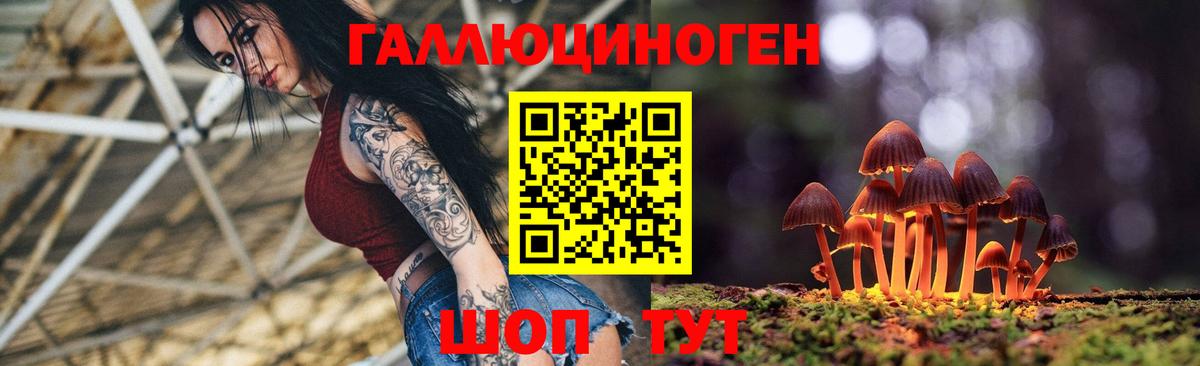 Великий Устюг  Галлюциногенные грибы GOLDEN TEACHER  Вход с VPN 